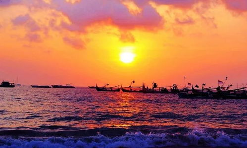 落日山丘安卓版最新版无限代币中文版下载-落日山丘安卓版无限金币修改版下载v.5.83