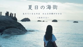 夏日的甜美回忆下载安装，让你时光倒流，感受那份美好。