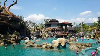 探寻自然之美:原始森林主题酒店体验 探寻自然之美:原始森林主题酒店体验