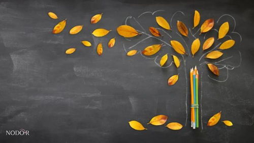 幻觉究竟是精神疾病还是心理疾病？你需要知道的一切关于幻觉的基本知识