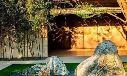 探寻回音花传说：神秘花千年传世，倾诉山谷久远心事，婉转细语回荡久远传说