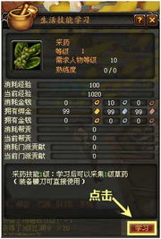 采药攻略：探秘正式服下的草药宝藏，助您成为顶尖炼药师！