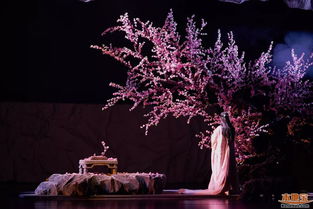 探寻《三生三世十里桃花》的魅力，百度百科揭秘剧中的奇幻世界