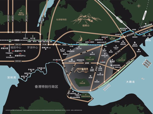 为什么超能球球不能玩？六大原因让你了解其中奥秘