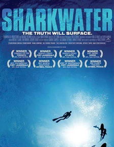 在潜入谎言之海中寻找真相的勇气和智慧 在潜入谎言之海中寻找真相的勇气和智慧