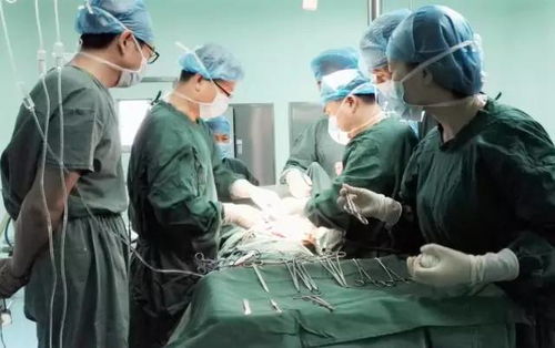 白鹿重伤住院，专家团队全力抢救，希望重见天日。