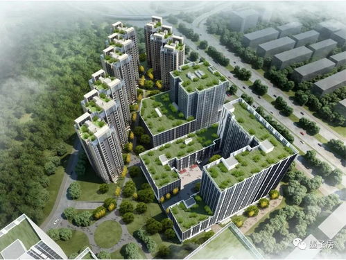 我是侦探家是真实的吗?揭露真相,探索幕后秘密,揭开身世之谜! 我是侦探家是真实的吗?揭露真相,探索幕后秘密,揭开身世之谜!