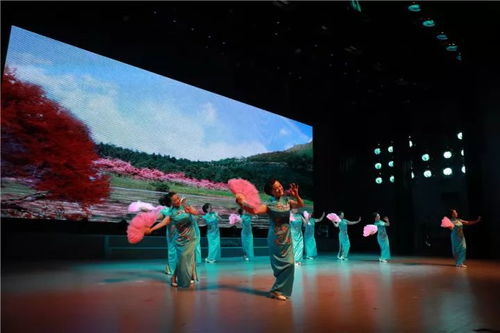 剑道寻缘搭建：探寻心灵契合，构建严谨修身之道