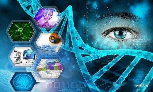 探索未知领域：科学家、神秘学者和预言家们对世界末日将在何年到来的深度研究和预测研判