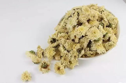 青箱子的功效与作用:降火解毒,清热解毒,清肝明目,主治各种感冒症状 青箱子的功效与作用:降火解毒,清热解毒,清肝明目,主治各种感冒症状