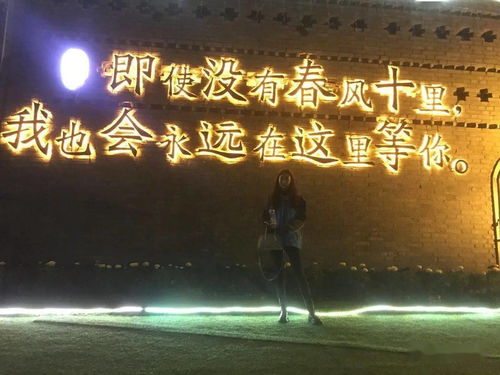 探寻千年舟官方网站,体验神秘历史与文化的奇妙之旅 探寻千年舟官方网站,体验神秘历史与文化的奇妙之旅