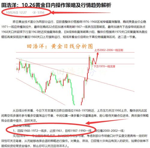 澳门一肖一马一恃一中下期预测和新澳门一肖一马一恃一中下一期预测:鼠、猴、猪、狗:成果分析、专家解析解释与落实,注意虚假标榜