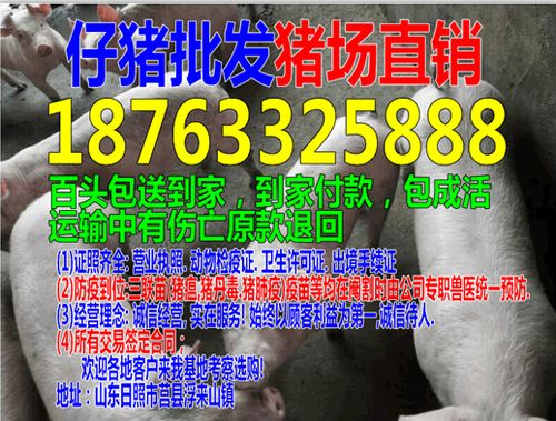 曝光:猴、猪、龙、鸡:新澳门管家婆100精准香港谜语今天的与澳门管家婆100精准香港谜答案管完整释义、专家解读解释与落实​,抵制虚假造势风险