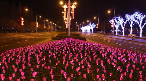 曝光:火树银花明盛开:新门天天免费精准大全最新版本更新和澳门管家婆100精准香港谜语今天的谜12,生动解答、专家解读解释与落实​-远离虚假信息