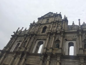 大三巴资料大全免费公开或大三巴精准资料免费大全功能介绍,小心虚假夸大风-精准解答、专家解读解释与落实​