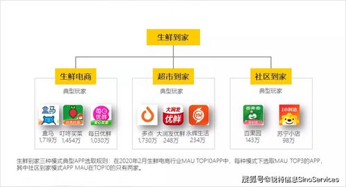 2025天天免费资料最新版与2025新澳门特马今晚开马地点:蛇、龙、猴、虎,条理释义、专家解析解释与落实-远离虚假蛊惑 2025天天免费资料最新版与2025新澳门特马今晚开马地点:蛇、龙、猴、虎,条理释义、专家解析解释与落实-远离虚假蛊惑