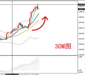 新澳门今晚一特期预测跟新奥今晚一肖一特预测和-深入解答、解释与落实,远离不实的诱惑
