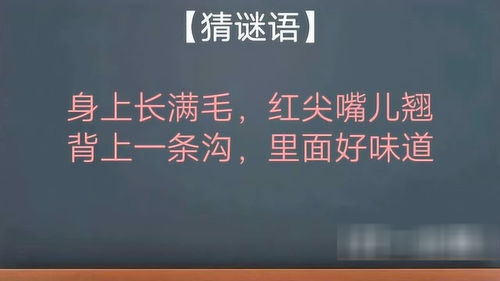 新澳门青青免费谜语论坛图及新澳天天免费准确大全谜语,留心误导的假广告梦-痛点释义、解释与落实