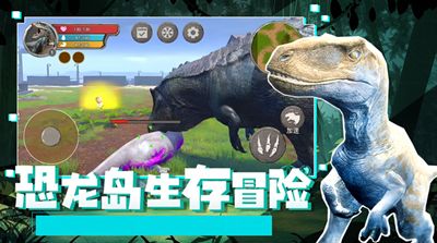 曾道道人资料免费大全与大三巴资料大全最全的软件:龙、羊、虎、蛇-成果分析、解释与落实,留心欺诈性广告