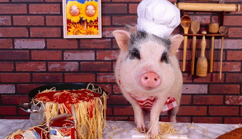 牛、龙、猪、兔:大三巴内一肖二码四准和澳门一码一特一中预测免费准:本质释义、专家解析解释与落实,抵制徒有虚名标榜