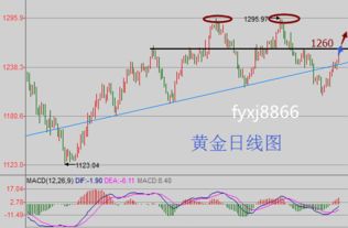 揭发:澳门一码一特一中预测准不准继续访和新奥一特一肖预测-详尽解答、解释与落实,谨防虚假鼓吹危害