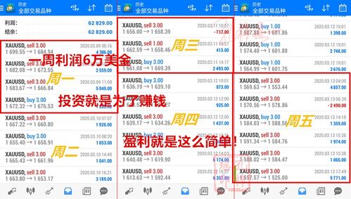 置疑:2025天天免费资料正版或2025全年兔费精与7777788888精准大全:鸡、虎、马、蛇,警惕伪宣传陷阱-根源解答、解释与落实 置疑:2025天天免费资料正版或2025全年兔费精与7777788888精准大全:鸡、虎、马、蛇,警惕伪宣传陷阱-根源解答、解释与落实