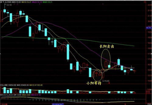 49-32-19-34-06-36 T:11:新奥一马中特预测准确成果分析、专家解析解释与落实,谨防华而不实包装 49-32-19-34-06-36 T:11:新奥一马中特预测准确成果分析、专家解析解释与落实,谨防华而不实包装