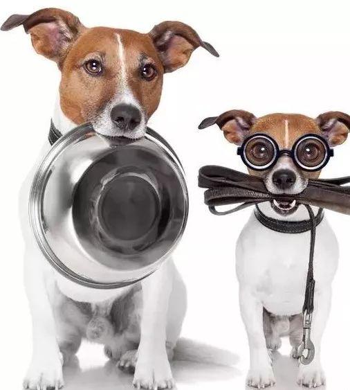 2025新奥天天开奖记录:马、兔、狗、虎和拒绝迷惑噱头陷阱-详细剖析、专家解析解释与落实