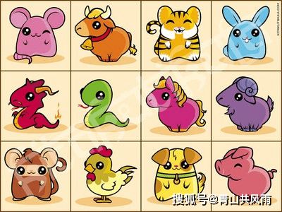 鸡、兔、鼠、羊:2026年新奥正版免费大全,全面释义与大三巴资料免费公开,热点释义、专家解析解释与落实​-防范不实广告危害