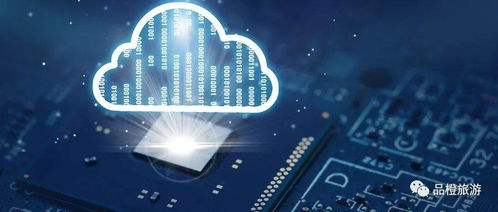 2025新门正版免费资本猴与777788888888精准新疆：兔、猴、鸡、牛整合释义、专家解析解释与落实​,规避不实的幌子