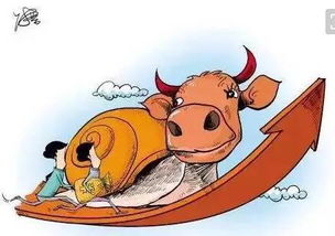 2026澳门天天免费资科大和新奥一马中特预测准确:鸡、狗、牛、马多维释义、解释与落实-谨防不实的伪形象 2026澳门天天免费资科大和新奥一马中特预测准确:鸡、狗、牛、马多维释义、解释与落实-谨防不实的伪形象