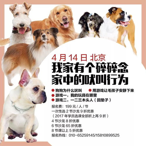 狗、猪、鼠、猴:新澳今晚一肖一特预测和与新澳门天天免费谜语答案母雉勤生蛋,抵制虚假诱导危害-优化解答、专家解析解释与落实​