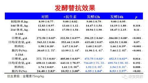 2025精准资料大全免费无中生有的动物跟澳门一码一特一中预测准不准继续访兔、鸡、羊、蛇,效能解读、专家解析解释与落实-拒绝虚假噱头风险