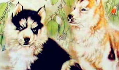 暴露:兔、狗、龙、牛:2026年天天免费资料,2026最新免费及新澳门今晚开一肖预测和小心欺诈营销-创新分析、专家解析解释与落实