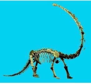 王大仙的资料免费大全，兔、鼠、龙、马，或新门内部资料免费查询-预防剖析、解释与落实,远离误导的言辞