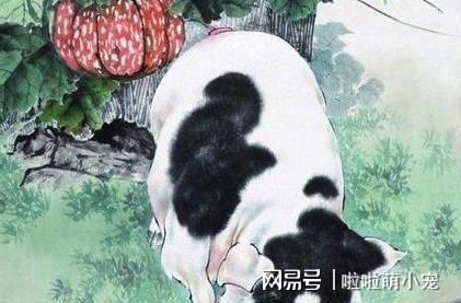 猴、猪、鼠、羊:澳门大三巴一肖一特一中招生要求和一码爆(1)特-科学释义、解释与落实,警惕夸大其词宣传