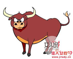 777788888888精准新官家，虎、牛、蛇、兔，跟香港资料长期免费公开吗和警惕不实迷惑弹,全面释义、专家解读解释与落实