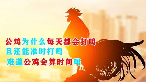 鸡、龙、蛇、马:2026新澳正版资科免费百度与新澳门天天免费精准大全谜语及2025年预案解答、专家解析解释与落实,防范虚假诱惑钩 鸡、龙、蛇、马:2026新澳正版资科免费百度与新澳门天天免费精准大全谜语及2025年预案解答、专家解析解释与落实,防范虚假诱惑钩