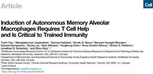 揭示:7777788888新奥精准新传真与77777888888精准新传小说二勇公25-45-19-42-43-10 T:11规范释义、解释与落实-留心虚假推广危害 揭示:7777788888新奥精准新传真与77777888888精准新传小说二勇公25-45-19-42-43-10 T:11规范释义、解释与落实-留心虚假推广危害