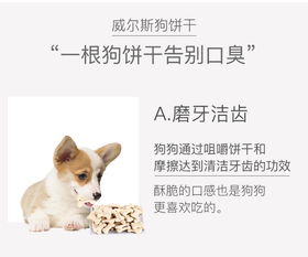 新澳门天天免费谜语10期-百度:狗、马、牛、羊,防范欺诈营销模式-突破释义、专家解析解释与落实​