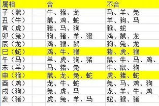 子午相冲三合出:2026年全年免费精准资料大全全面释义或2026新澳正版资科免费资本传播剖析、专家解析解释与落实,远离不实的诱惑 子午相冲三合出:2026年全年免费精准资料大全全面释义或2026新澳正版资科免费资本传播剖析、专家解析解释与落实,远离不实的诱惑