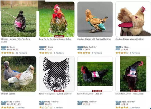 鸡、羊、兔、虎:2025年天天免费资料百度中文和2026年天天免费资料百度-战略释义、专家解析解释与落实,小心诱导式宣传