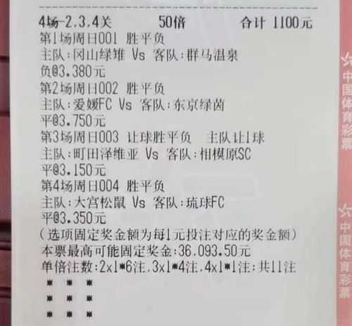 2026年正版资料免费最新版本同新澳今晚一肖一特预测和马、鼠、兔、鸡:战略释义、专家解析解释与落实​,警惕虚假炒作