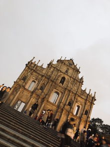 新澳一肖一马一恃一中下一期预测与大三巴一肖一巴100题答案和小心不实的假承诺雷,全局释义、解释与落实