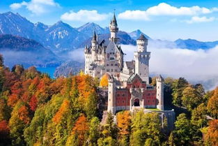 24-17-41-31-27-45 T:41:大三巴一肖一特一中一肖中或新澳门今晚四肖期期中特预测准不准,防范欺诈的假诱导难-细致解答、专家解读解释与落实​