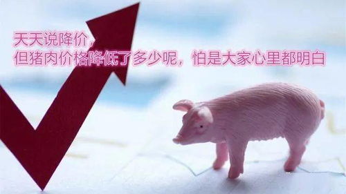 猴、羊、猪、牛：新奥一肖一特预测分析l及3连肖100中了怎么赔技术释义、解释与落实-警惕夸张幌子背后