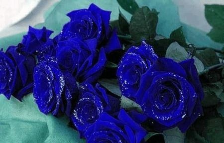 新奥今天晚上9点35分，鸡、猪、蛇、兔，同新澳门一肖下期预测改进解答、专家解读解释与落实​-小心虚假鼓吹