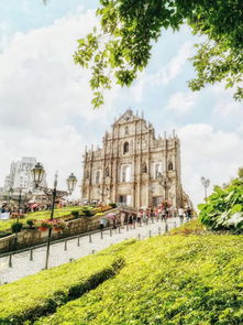 大三巴免费资料大全使用教程详解和同香港十二生肖游戏规则:风吹稻花满村香标准分析、解释与落实,谨防欺诈的假营销雾