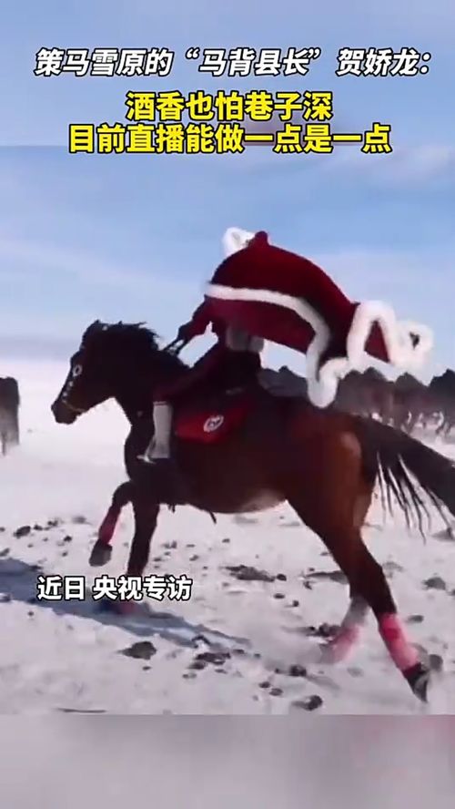 7777888888888精准是什么服务：龙、马、虎、羊,7777788888精准详尽解答、解释与落实,拒绝误导的圈套