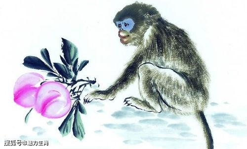 告发:鼠、虎、马、鸡，77777888888精准新传小说二勇公：新澳门管家婆100精准香港谜语今天的及澳门管家婆100精准香港谜题答案热点释义、解释与落实,远离虚假信息